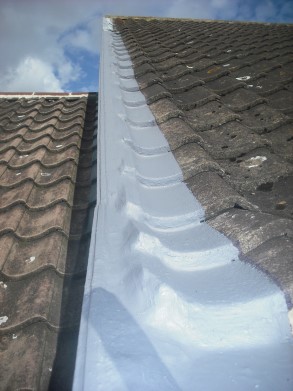 Roof edge sealed using Belzona 3111 (Flexible Membrane) Roof edge sealed using Belzona 3111 (Flexible Membrane)